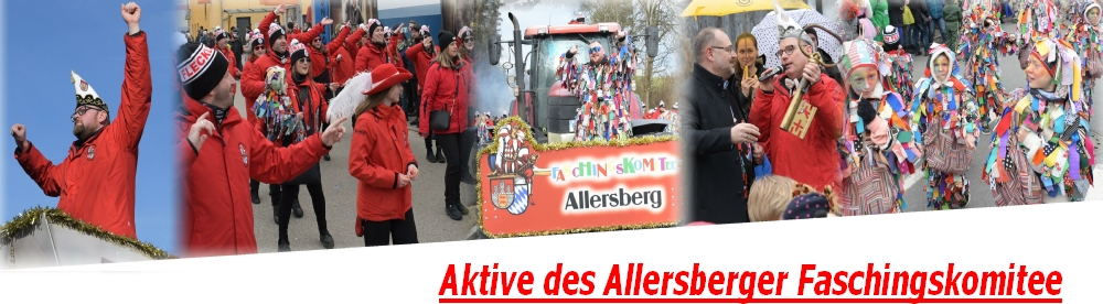Aktive des Allersberger Faschingskomitee